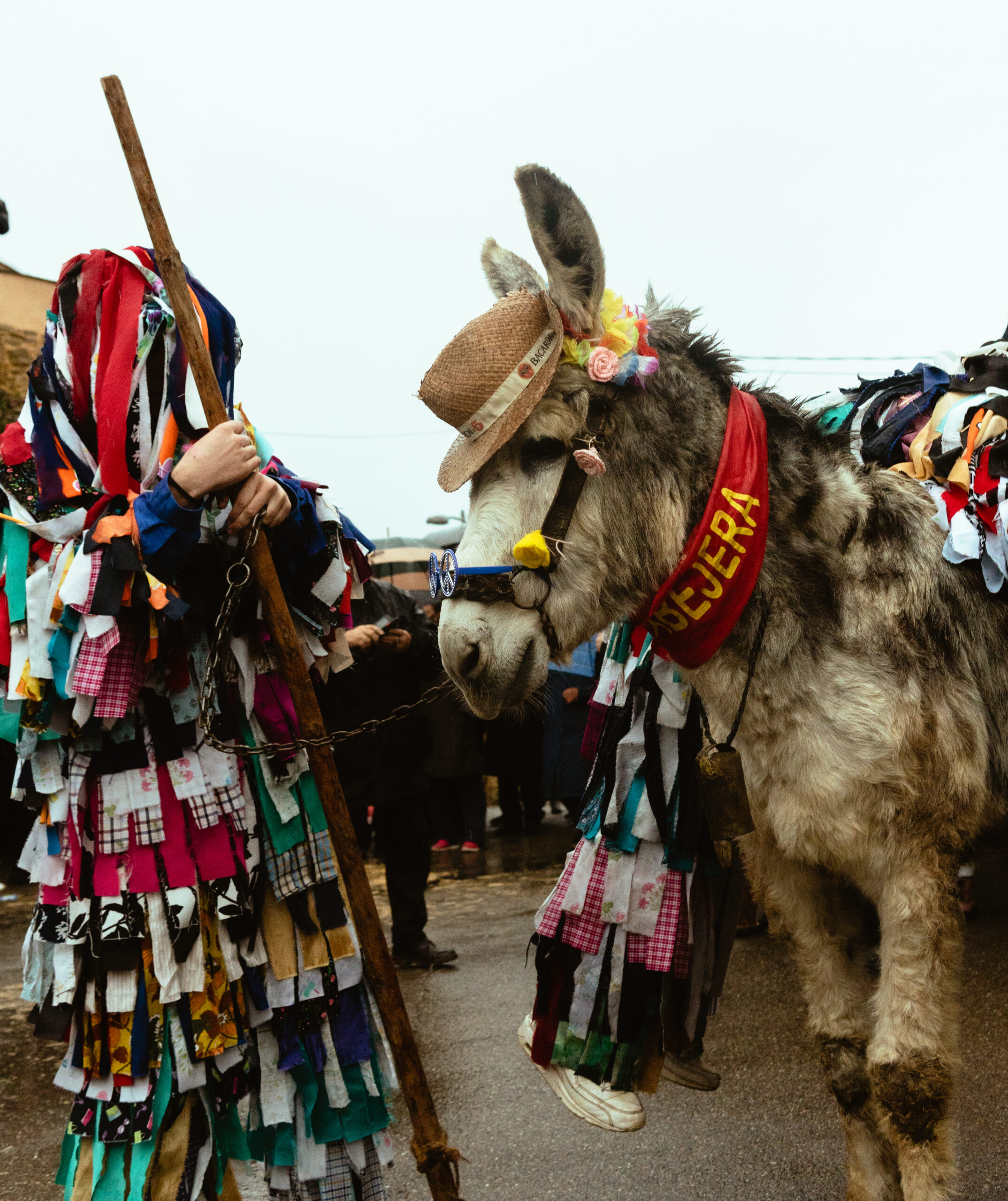Fotografía 7 de Los Cencerrones de Abejera